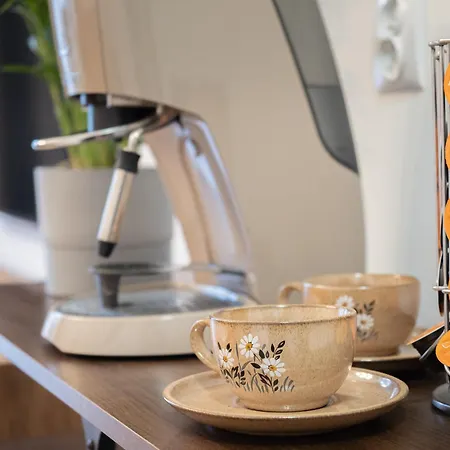 Vikicentrum Appartamento *