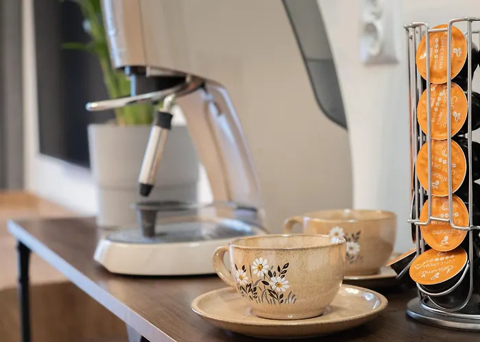 Vikicentrum Apartment *